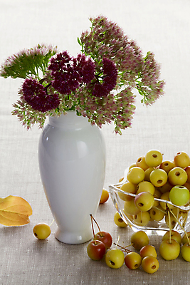 포토 JPG 해외이미지 계절 꽃 음식 꽃다발 과일 자연 유리 휴가 디저트 발렌타인데이 사랑 사람없음 장식 빨간색 초록색 여름 빛 꽃병 가을 흰색 나뭇가지 그룹 사과 다발 내추럴 스타일 해외202004 해외포토 나무 식물 감정 컬러 데이이벤트 재질 생태계 파일형식 이미지허브