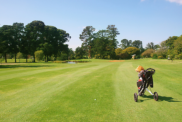 포토 JPG 해외이미지 나무 식물 구름 공원 호수 밭 골프 공 아프리카 자연 하늘 따뜻함 풍경 사람없음 야외 초록색 물 여름 파란색 강 컬러풀 평화 환경 정원 맑음 봄 연못 신선 강의 묘사 원예 남쪽 내추럴 강렬 페어웨이 해외202004 해외포토 자연요소 계절 공공시설 나라 컬러 컨셉 농업 날씨 취미 구기 방향 생태계 파일형식 이미지허브