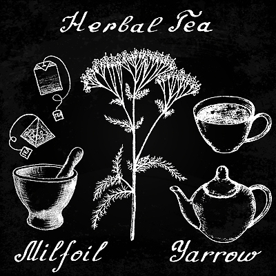 포토 JPG 해외이미지 식물 손 꽃 잎 꽃무늬 가방 포장 주전자 건강 사람없음 그래픽 치료 컵 약 연필 차 스케치 약국 허브 그림 에코 유기농 윤곽 아로마테라피 테라피 내추럴 막자 레터링 해외202004 해외포토 식기 웰빙 잡화 음료 무늬 의학 주방용품 학용품 미술 신체부위 필기구 뷰티 환경 파일형식 이미지허브