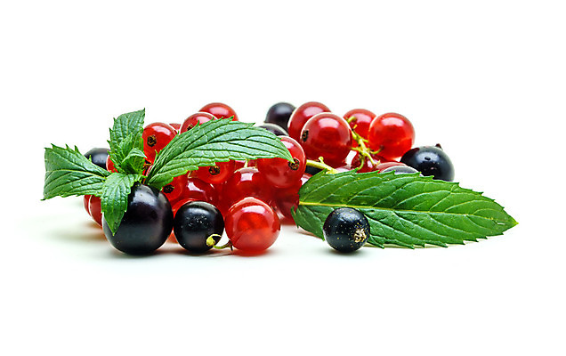 포토 JPG 해외이미지 식기 잡화 열매 음식 다이어트 과일 재료 탁자 디저트 건강 사람없음 빨간색 초록색 여름 주방 검은색 식사 어둠 흰색 나뭇가지 신선 달콤 맛 다발 먹기 오브젝트 싱글 상쾌 유기농 내추럴 건포도 고립 숙성 해외202004 해외포토 나무 식물 웰빙 계절 감정 컬러 가구 컨셉 모션 포도 건과일 파일형식 이미지허브