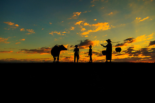 포토 JPG 해외이미지 동물 전통 라이프스타일 아시아 문화 백그라운드 밭 농업 오렌지 태국 자연 노동자 사람 동양인 사람없음 야외 초록색 물 농장 일출 일몰 시골 업무 농부 저녁 가난 베트남 지역 방법 해외202004 해외포토 자연요소 직업 나라 산업 컬러 컨셉 과일 인종 생활 노을 동남아시아 작업 야간 생태계 파일형식 이미지허브
