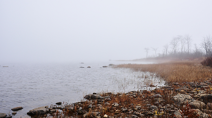 포토 JPG 해외이미지 호수 모래 자연 아침 사람없음 야외 강 어둠 회색 젖음 촉촉함 추위 안개 가을 신선 가장자리 숲 강가 시원함 11월 속도 오르기 암초 내추럴 광 뿌연 소멸 해외202004 해외포토 주간 계절 컬러 모션 날씨 날짜 둘레 생태계 파일형식 이미지허브