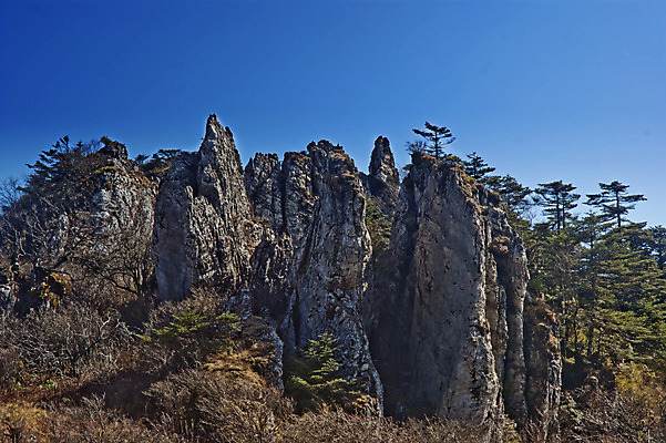 포토 JPG 해외이미지 나무 자연 하늘 산 풍경 사람없음 중국 절벽 해외202004 해외포토 식물 아시아 생태계 파일형식 이미지허브