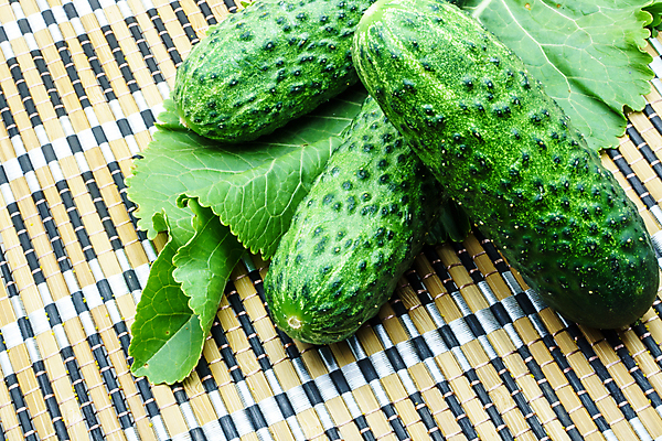 포토 JPG 해외이미지 식물 라이프스타일 꽃 아시아 길 음식 조각 백그라운드 십자가 잎 농업 다이어트 채소 과일 재료 부분 태국 자연 오이 건강 요리 동양인 사람없음 가로 초록색 물 식사 침묵 샐러드 젖음 수확 성장 흰색 시골 신선 원형 4 그룹 닫기 작음 자르기 배열 먹기 허브 향신료 오브젝트 싱글 상쾌 유기농 레이아웃 날것 피클 슬라이스 박 내추럴 고립 구성 돌봄 배급 숙성 오이피클 채식주의자 핸드메이드 개조 비건 해외202004 해외포토 자연요소 도형 웰빙 감정 나라 산업 컬러 모션 인종 생활 숫자 소리 크기 생태계 채식 절임 향미료 파일형식 이미지허브