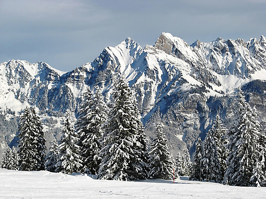 포토 JPG 해외이미지 나무 구름 라이프스타일 유럽 지구 여행 겨울 자연 하늘 스키 산 그림자 풍경 사람없음 야외 파란색 태양 평화 맑음 얼음 추위 자유 흰색 황무지 고급 숲 크리스탈 가루 고도 스위스 서리 알프스 전나무 절정 파라다이스 눈내림 해외202004 해외포토 자연요소 식물 계절 나라 컬러 컨셉 날씨 겨울스포츠 눈_날씨 생활 광석 생태계 파일형식 이미지허브