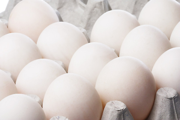 포토 JPG 해외이미지 음식 비즈니스 조류 오리 건강 사람없음 농장 노란색 계란 껍질 흰색 황금 닫기 아침식사 먹기 노른자 고립 단백질 등나무 해외202004 해외포토 나무 동물 컬러 농업 모션 알 식사 영양소 파일형식 이미지허브