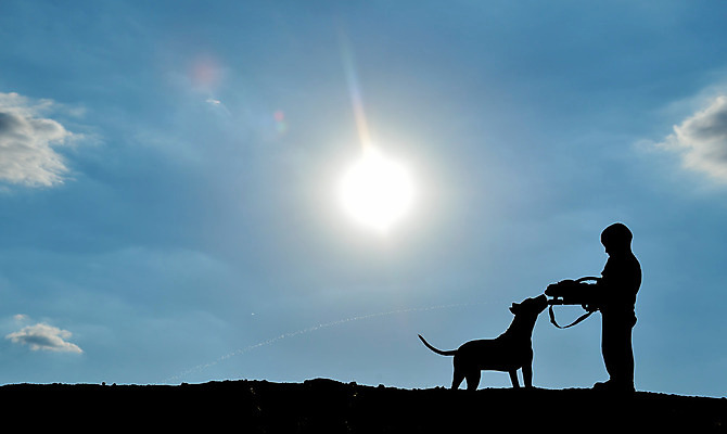 포토 JPG 해외이미지 실루엣 어린이 밭 소년 사람없음 물 총 에너지 게임 자신감 발표 개 보호 위험 시원함 역동적 지역 주인 해외202004 해외포토 자연요소 남자 감정 무기 컨셉 농업 포유류 놀이 촬영기법 사람 파일형식 이미지허브