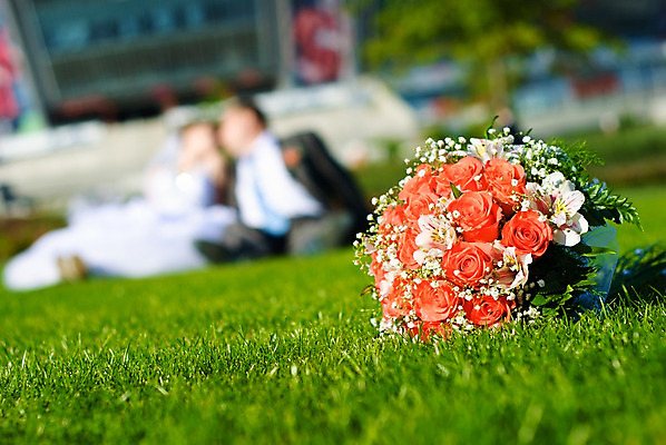 포토 JPG 해외이미지 커플 드레스 여자 남자 꽃 꽃다발 결혼 2 가족 신혼부부 자연 남편 사랑 사람 사람없음 야외 장식 빨간색 초록색 장미 흰색 축하 아내 가운 소프트포커스 해외202004 해외포토 식물 부부 옷 감정 컬러 컨셉 관계 촬영기법 이벤트 생태계 신혼 파일형식 이미지허브