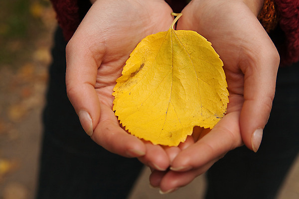 포토 JPG 해외이미지 손가락 친절 따뜻함 관리 사람없음 노란색 걷기 기쁨 추위 가을 시간 고독 시원함 혼자 해외202004 해외포토 손 계절 감정 컬러 모션 파일형식 이미지허브