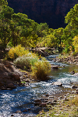 포토 JPG 해외이미지 나무 공원 여행 하늘 휴가 산 풍경 사람없음 빨간색 세로 초록색 물 파란색 강 컬러풀 햇빛 태양 반사 노란색 여행객 골짜기 계곡 맑음 가을 신선 역사 재산 황금 보호 지역 암초 방문 내추럴 구성 시온산 옛날 우수 인기 전국 해외202004 해외포토 자연요소 식물 계절 공공시설 컬러 컨셉 자연 날씨 사람 금융 절기 파일형식 이미지허브