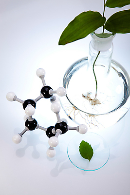 포토 JPG 해외이미지 식물 실내 실험 사람없음 액체 화학 실험실 플라스크 흰배경 비커 화학실험 분자구조모형 샬레 해외202004 해외포토 과학 백그라운드 실험기구 내부 모형 흰색 분자구조 파일형식 이미지허브