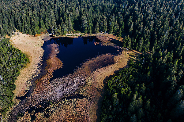 포토 JPG 해외이미지 나무 구름 계절 공원 호수 여행 백그라운드 자연 아침 산 풍경 사람없음 야외 초록색 물 여름 파란색 빛 강 컬러풀 태양 반사 노란색 환경 검은색 어둠 침묵 일몰 연못 숲 장면 내추럴 슬로베니아 수평선 해외202004 해외포토 주간 자연요소 식물 공공시설 유럽 컬러 노을 소리 생태계 파일형식 이미지허브