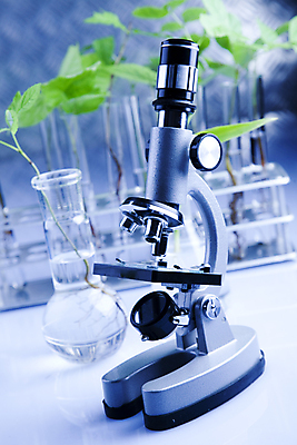 포토 JPG 해외이미지 식물 실내 현미경 실험 사람없음 아웃포커스 화학 실험실 시험관 화학실험 시험관대 해외202004 해외포토 과학 촬영기법 실험기구 내부 파일형식 이미지허브