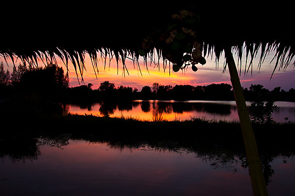 포토 JPG 해외이미지 나무 구름 계절 실루엣 모래 파도 바다 여행 백그라운드 오렌지 자연 하늘 추상 휴가 풍경 사람없음 야외 빨간색 물 여름 파란색 빛 컬러풀 햇빛 태양 반사 노란색 일출 맑음 황혼 일몰 새벽 황금 야간 저녁 수평선 해외202004 해외포토 자연요소 식물 컬러 무늬 과일 날씨 촬영기법 노을 생태계 파일형식 이미지허브