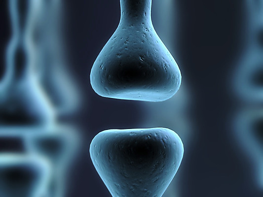 포토 JPG 해외이미지 과학 신체 해부 생물 세포 사람 사람없음 머리 생물학 만들기 바이오 해외202004 해외포토 교육 의학 모션 신체부위 파일형식 이미지허브