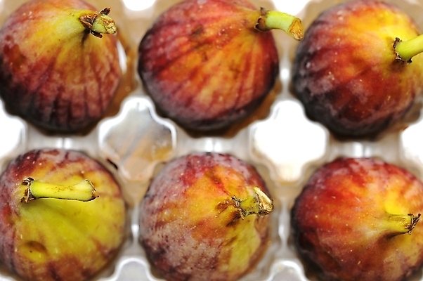 포토 JPG 해외이미지 라이프스타일 음식 컨셉 다이어트 과일 재료 디저트 건강 사람없음 빨간색 물 갈색 신선 정상 이슬 질감 날것 무화과 숙성 줄서기 해외202004 해외포토 자연요소 컬러 모션 생활 파일형식 이미지허브