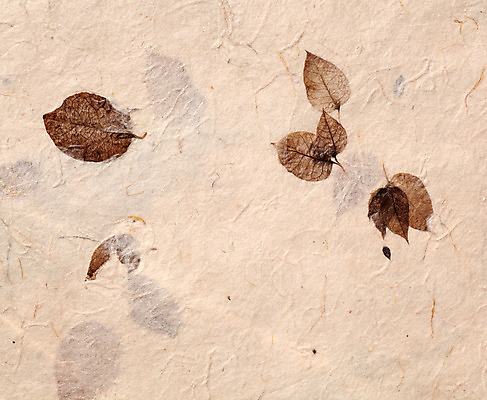 포토 JPG 해외이미지 디자인 종이 백그라운드 패턴 자연 표면 추상 문구용품 사람없음 장식 컬러풀 손상 인사 신용카드 유기농 질감 문서 섬유 시트 내추럴 판지 핸드메이드 해외202004 해외포토 웰빙 컬러 컨셉 무늬 금융 직물 예절 오브젝트 생태계 파일형식 이미지허브