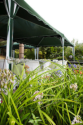 포토 JPG 해외이미지 외관 꽃 결혼 의자 탁자 결혼식 서브 텐트 이벤트 사람없음 야외 장식 초록색 세트 파티 요식업 식당 식사 저녁식사 희망 모임 흰색 축하 고급 우아함 묘사 서비스 만족 설정 고립 접수 정중 해외202004 해외포토 식물 감정 산업 컬러 가구 컨셉 캠핑도구 상점 파일형식 이미지허브