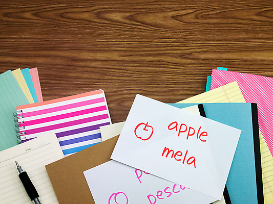 포토 JPG 해외이미지 학생 교육 문화 텍스트 교실 학교 수업 사람없음 책 단어 스터디 세계 글로벌 연필 펜 쪽지 공책 이탈리아 시험 퀴즈 가르침 강의 사전 번역 해외202004 해외포토 문자 유럽 문구용품 학용품 학습 필기구 파일형식 이미지허브