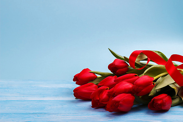 포토 JPG 해외이미지 전통 계절 꽃잎 꽃 꽃다발 결혼 백그라운드 잎 꽃무늬 자연 탁자 휴가 부활절 선반 발렌타인데이 선물 사람없음 내부 목재 장식 빨간색 초록색 물 파란색 우주 봄 튤립 벚꽃 시골 축하 신선 정상 이슬 다발 감사 내추럴 파스텔톤 카피스페이스 해외202004 해외포토 자연요소 나무 식물 기념일 감정 컬러 가구 컨셉 무늬 재료 데이이벤트 이벤트 공백 생태계 파일형식 이미지허브