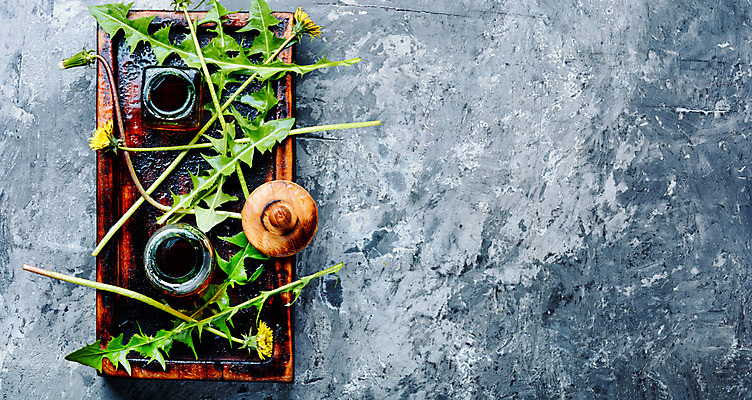 포토 JPG 해외이미지 식물 꽃잎 꽃 음료 잎 자연 건강 사람없음 치료 초록색 여름 약 노란색 공백 들꽃 벚꽃 신선 약초 질병 민들레 약국 허브 레시피 테라피 치료제 카피스페이스 해외202004 해외포토 계절 컬러 의학 뷰티 풀_식물 생태계 파일형식 이미지허브