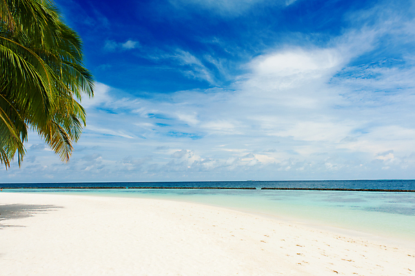 포토 JPG 해외이미지 나무 모래 파도 바다 섬 여행 백그라운드 우산 자연 하늘 휴가 휴식 손바닥 풍경 사람없음 물 여름 파란색 햇빛 태양 침묵 만 휴양지 양산 태평양 코코넛 석호 몰디브 강렬 이국적 터키석 파라다이스 해외202004 해외포토 자연요소 식물 손 계절 아시아 컬러 컨셉 과일 소리 장소 보석 생태계 파일형식 이미지허브