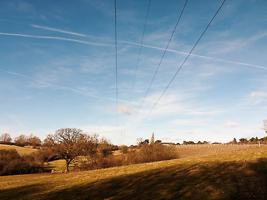포토 JPG 해외이미지 식물 구름 계절 백그라운드 밭 농업 자연 하늘 풍경 잔디 사람없음 야외 초록색 여름 파란색 햇빛 농장 환경 봄 농촌 시골 신선 땅 언덕 장면 지역 파라다이스 평야 수평선 해외202004 해외포토 자연요소 산업 컬러 태양 생태계 파일형식 이미지허브