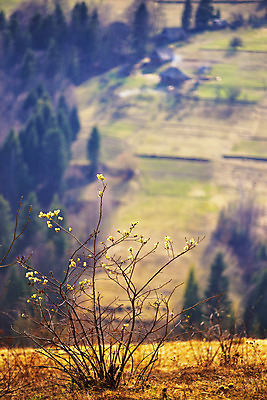 포토 JPG 해외이미지 나무 꽃 도로 여행 백그라운드 밭 자연 산 주택 풍경 사람없음 초록색 노란색 마을 계곡 맑음 봄 벚꽃 시골 개화 숲 4월 언덕 우크라이나 해외202004 해외포토 식물 계절 유럽 길 컬러 농업 교통시설 날씨 건물 날짜 생태계 파일형식 이미지허브