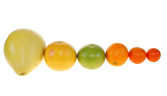 포토 JPG 해외이미지 음식 오렌지 과일 재료 사람없음 고립 이국적 해외202004 해외포토 파일형식 이미지허브