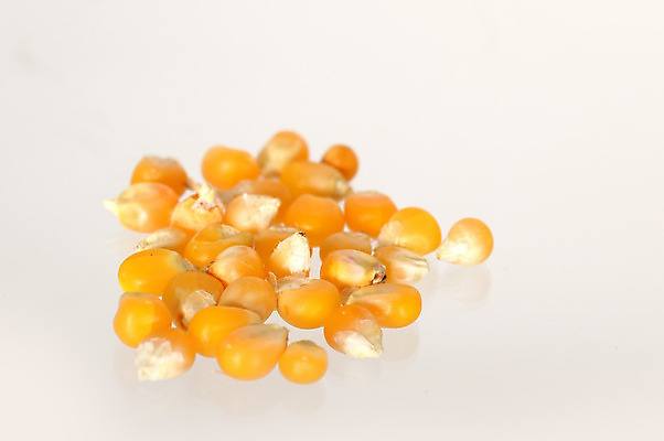 포토 JPG 해외이미지 식물 음식 패턴 농업 채소 오렌지 재료 자연 건조 건강 옥수수 씨앗 사람없음 농작물 노란색 쌓기 흰색 그룹 사발 황금 주식 큼 낟알 시리얼 먹기 가득함 오브젝트 유기농 질감 알맹이 날것 팝콘 흙더미 고립 단백질 숙성 채식주의자 해외202004 해외포토 웰빙 산업 컬러 무늬 과일 모션 곡류 금융 흙 사기그릇 크기 생태계 채식 영양소 파일형식 더미 이미지허브