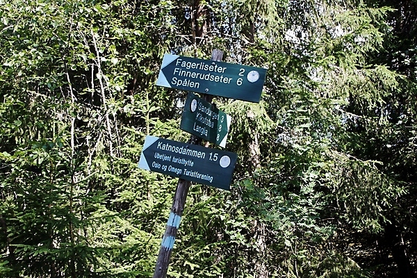 포토 JPG 해외이미지 나무 열매 길 자국 스키 노르웨이 사람없음 여름 파란색 맑음 트래킹 굴 소나무 숲 오솔길 방향 관목 사인 블루베리 승진 깊이 선로 오슬로 월귤 해외202004 해외포토 식물 계절 유럽 컬러 과일 레저 날씨 어패류 겨울스포츠 파일형식 이미지허브