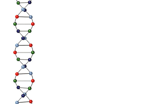 포토 JPG 해외이미지 과학 패턴 일러스트 자연 세포 나선형 사람 사람없음 약 3D 흰색 DNA 생명공학 생물학 만들기 염색체 고립 유전 해외202004 해외포토 교육 컬러 무늬 의학 모션 디지털합성 생태계 파일형식 이미지허브