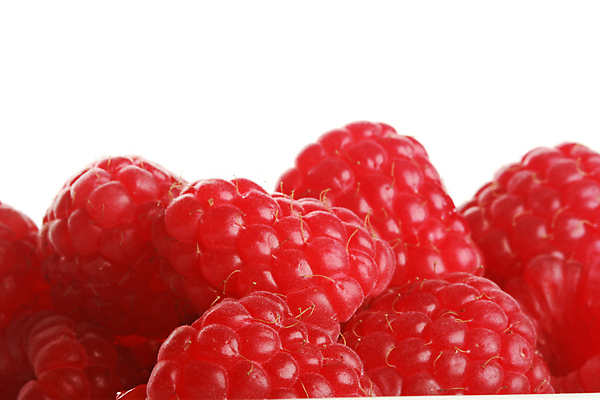 포토 JPG 해외이미지 열매 음식 과일 조명 사람없음 가로 빨간색 신선 달콤 맛 산딸기 부드러움 숙성 해외202004 해외포토 식물 컬러 컨셉 감각 파일형식 이미지허브