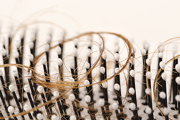 포토 JPG 해외이미지 근접촬영 사람없음 뷰티 머리카락 머리빗 흰배경 헤어관리 두피케어 탈모 탈모클리닉 해외202004 탈모예방 해외포토 뷰포인트 백그라운드 머리 흰색 미용용품 예방 클리닉 증상 파일형식 이미지허브