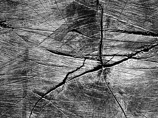 포토 JPG 해외이미지 나무 디자인 배너 벽 백그라운드 컨셉 패턴 자연 벽지 표면 추상 흑백 미술 사람없음 목재 빛 라벨 우주 어둠 공백 회색 수확 시골 반지 거친 널 자르기 묘사 질감 복고 목공예 내추럴 그런지 엘리먼트 옛날 효과 해외202004 해외포토 식물 컬러 무늬 농업 재료 장신구 모션 문화예술 프레임 촬영기법 공예 생태계 파일형식 이미지허브