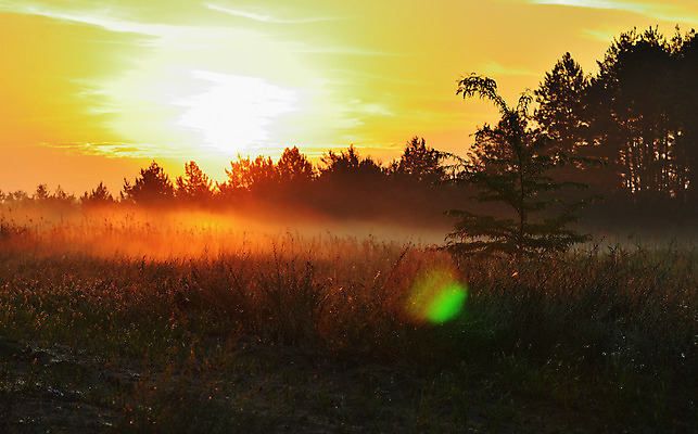 포토 JPG 해외이미지 나무 구름 여행 백그라운드 밭 자연 하늘 아침 조명 풍경 사람없음 여름 파란색 빛 햇빛 태양 노란색 일출 화목 황혼 일몰 봄 새벽 가을 소나무 황금 저녁 숲 깃털 스텝 몽환 수평선 해외202004 해외포토 주간 자연요소 식물 계절 컬러 컨셉 농업 노을 야간 생태계 파일형식 이미지허브