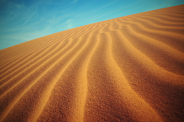 포토 JPG 해외이미지 모래 파도 여행 백그라운드 패턴 오렌지 아프리카 자연 하늘 건조 따뜻함 풍경 사람없음 야외 빨간색 여름 파란색 모래사장 태양 갈색 노란색 맑음 일몰 사막 뜨거움 거친 고독 갈증 모래언덕 묘사 지역 가뭄 모로코 사하라 내추럴 아랍어 해외202004 해외포토 자연요소 계절 감정 나라 바다 컬러 무늬 과일 날씨 노을 언덕 생태계 파일형식 이미지허브