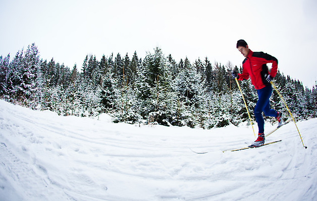포토 JPG 해외이미지 라이프스타일 계절 스포츠 포즈 십자가 겨울 자국 자연 하늘 휴가 스키 산 건강 한명 사람 풍경 야외 파란색 달리기 운동 태양 얼음 추위 스케이트 탐험 흰색 황무지 숲 알프스 장면 스키선수 멀리 해외202004 해외포토 자연요소 1 유럽 스포츠용품 컬러 모션 겨울스포츠 운동선수 생활 생태계 파일형식 이미지허브