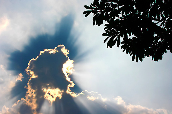 포토 JPG 해외이미지 구름 디자인 계절 실루엣 백그라운드 오렌지 자연 벽지 하늘 아침 추상 따뜻함 파노라마 풍경 사람없음 야외 장식 여름 빛 햇빛 태양 노란색 우주 일출 환경 맑음 어둠 황혼 일몰 봄 새벽 저녁 엽서 장면 천국 수평선 해외202004 해외포토 주간 자연요소 컬러 무늬 과일 날씨 촬영기법 노을 야간 편지 생태계 파일형식 이미지허브