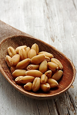 포토 JPG 해외이미지 음식 농업 채소 콩 건강 옥수수 씨앗 사람없음 숟가락 그룹 달콤 수프 낟알 밀 상업 날것 생식 채식주의자 해외202004 해외포토 식물 산업 곡류 수저 맛 채식 파일형식 이미지허브