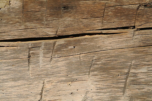 포토 JPG 해외이미지 나무 벽 가구 백그라운드 무늬 패턴 추상 바닥 사람없음 목재 문 닫기 널 낟알 묘사 질감 목공예 잡동사니 내추럴 수목 스타일 해외202004 해외포토 식물 생활용품 재료 모션 공예 파일형식 이미지허브