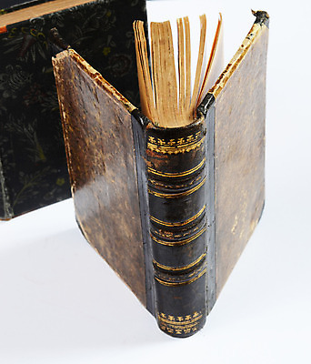 포토 JPG 해외이미지 종이 사람없음 장식 책 독서 갈색 검은색 골동품 오픈 황금 가죽 복고 옛날 해외202004 해외포토 컬러 파일형식 이미지허브