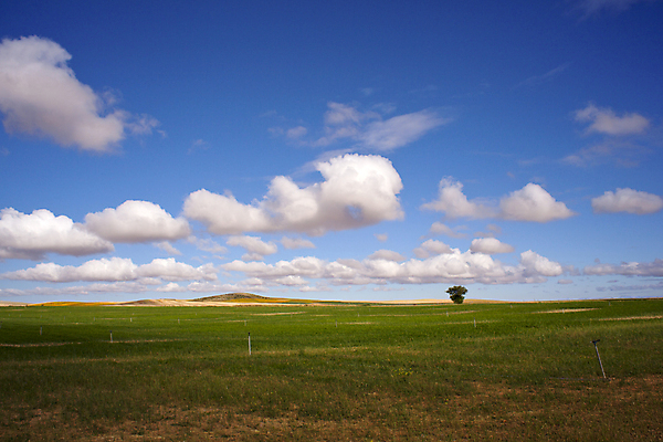 포토 JPG 해외이미지 구름 유럽 백그라운드 밭 농업 자연 하늘 날씨 파노라마 옥수수 풍경 사람없음 야외 여름 컬러풀 태양 농장 농경지 평화 침묵 흙 수확 성장 시골 스페인 볏짚 밀 만취 장면 철사 밭일 스페인어 해외202004 해외포토 자연요소 계절 나라 산업 컬러 컨셉 곡류 촬영기법 소리 짚 생태계 술취함 파일형식 이미지허브