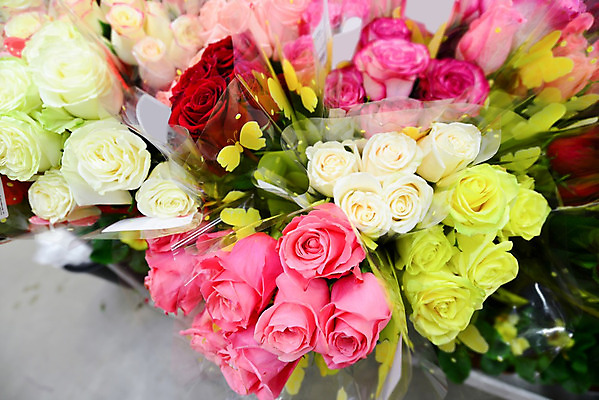 포토 JPG 해외이미지 식물 기념일 꽃잎 꽃 분홍색 꽃다발 잎 꽃무늬 자연 결혼식 발렌타인데이 선물 사랑 사람없음 장식 초록색 세트 장미 노란색 정원 축제 놀람 봄 성장 벚꽃 흰색 축하 신선 개화 그룹 의식 큼 다발 수집 심볼 질감 향기 아로마 열정 악취 멀티 해외202004 해외포토 계절 감정 컬러 결혼 컨셉 무늬 데이이벤트 표정 이벤트 크기 생태계 냄새 파일형식 이미지허브