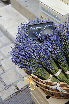 포토 JPG 해외이미지 식물 꽃 건조 사람없음 파란색 세일 보라색 프랑스 벚꽃 시장 허브 향수 보따리 향기 아로마 비누 소매 라벤더 라일락 프랑스어 프로방스 해외202004 해외포토 문자 유럽 컬러 위생용품 화장품 냄새 파일형식 이미지허브
