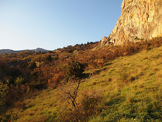 포토 JPG 해외이미지 나무 식물 구름 계절 자연 하늘 산 풍경 사람없음 초록색 여름 바위 시골 그림 산등성이 상록수 침엽수 흐림 우크라이나 해외202004 해외포토 자연요소 유럽 컬러 날씨 돌_바위 생태계 파일형식 이미지허브