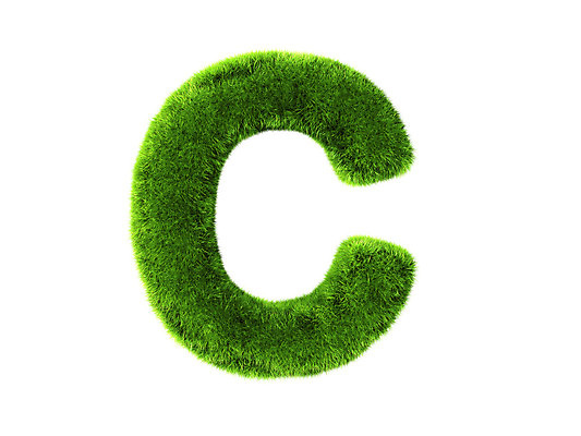 포토 JPG 해외이미지 식물 알파벳 실루엣 백그라운드 컨셉 일러스트 텍스트 학교 자연 추상 건강 창조 미술 잔디 사람없음 초록색 여름 태양 3D 꼬리표 환경 화목 봄 유치원 성장 흰색 신선 보호 편지 심볼 만들기 C 타입 내추럴 고립 생태학 효과 해외202004 해외포토 자연요소 영어 계절 교육 컬러 무늬 모션 문화예술 촬영기법 라벨 디지털합성 생태계 파일형식 이미지허브