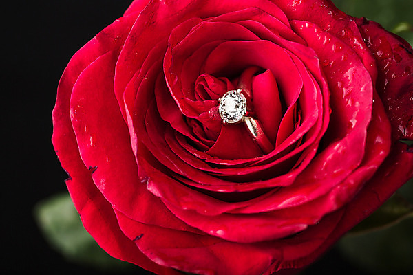 포토 JPG 해외이미지 식물 기념일 꽃잎 꽃 결혼 컨셉 꽃무늬 자연 결혼식 발렌타인데이 선물 사랑 사람없음 빨간색 장미 축하 반지 우아함 은색 보석 다이아몬드 약혼 해외202004 해외포토 감정 컬러 무늬 장신구 데이이벤트 이벤트 광석 생태계 약속 파일형식 이미지허브