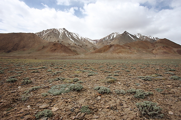 포토 JPG 해외이미지 나무 구름 아시아 여행 백그라운드 자연 휴가 산 풍경 사람없음 야외 초록색 여름 계곡 침묵 금지 시골 숲 언덕 오브젝트 산등성이 러시아 장면 지역 내추럴 시베리아 전국 절정 해외202004 해외포토 자연요소 식물 계절 유럽 나라 컬러 소리 생태계 파일형식 이미지허브