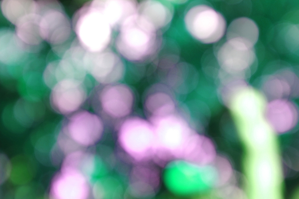 포토 JPG 해외이미지 나무 디자인 계절 백그라운드 컨셉 잎 패턴 자연 벽지 아침 추상 불꽃 기념 사람없음 야외 장식 초록색 여름 빛 컬러풀 햇빛 파티 우주 환경 축제 흰색 인사 원형 소프트포커스 에코 질감 보케 초대 부드러움 광 블러 효과 해외202004 해외포토 주간 도형 식물 컬러 무늬 불 촬영기법 이벤트 태양 예절 감각 생태계 파일형식 이미지허브